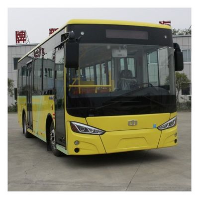 Автоматическая челноков пассажира LHD электрическая колесная база 4200mm 29